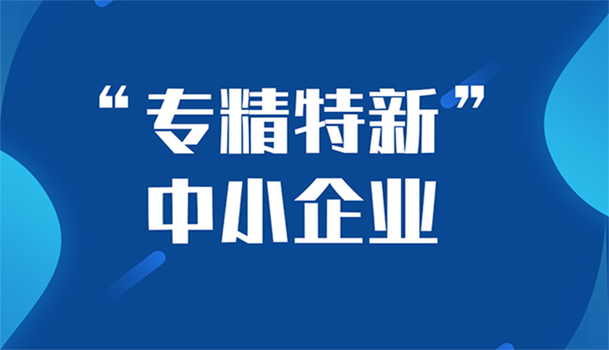 專精特新中小企業(yè)